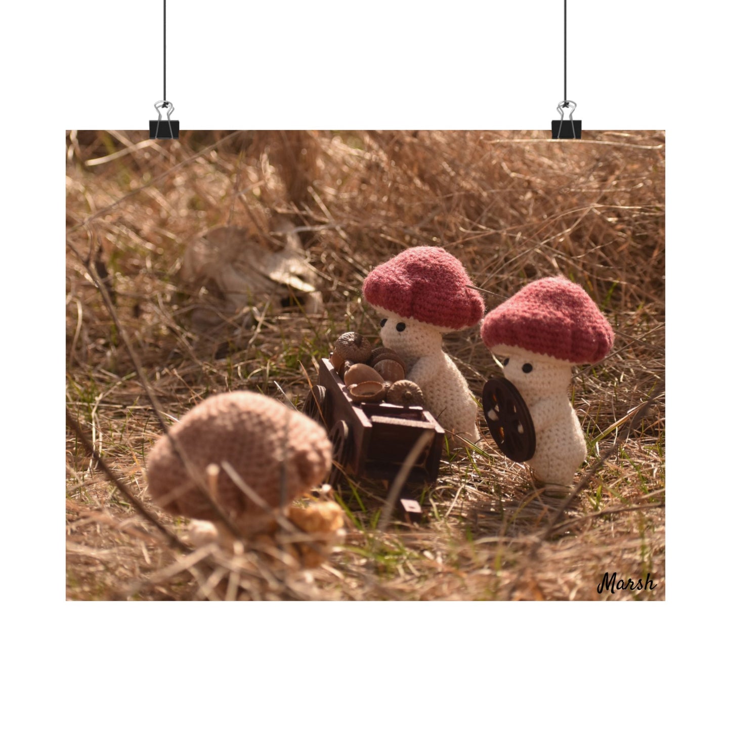 Badlands Woolyshroom Satin Poster - Charming Nature Art for Cozy Home Decor