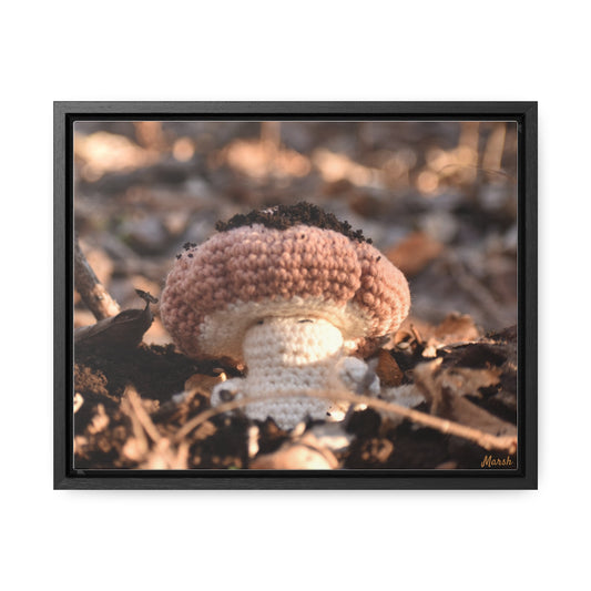 Rebirth Woolyshroom Gallery Canvas Wrap - Nature-Inspired Home Decor