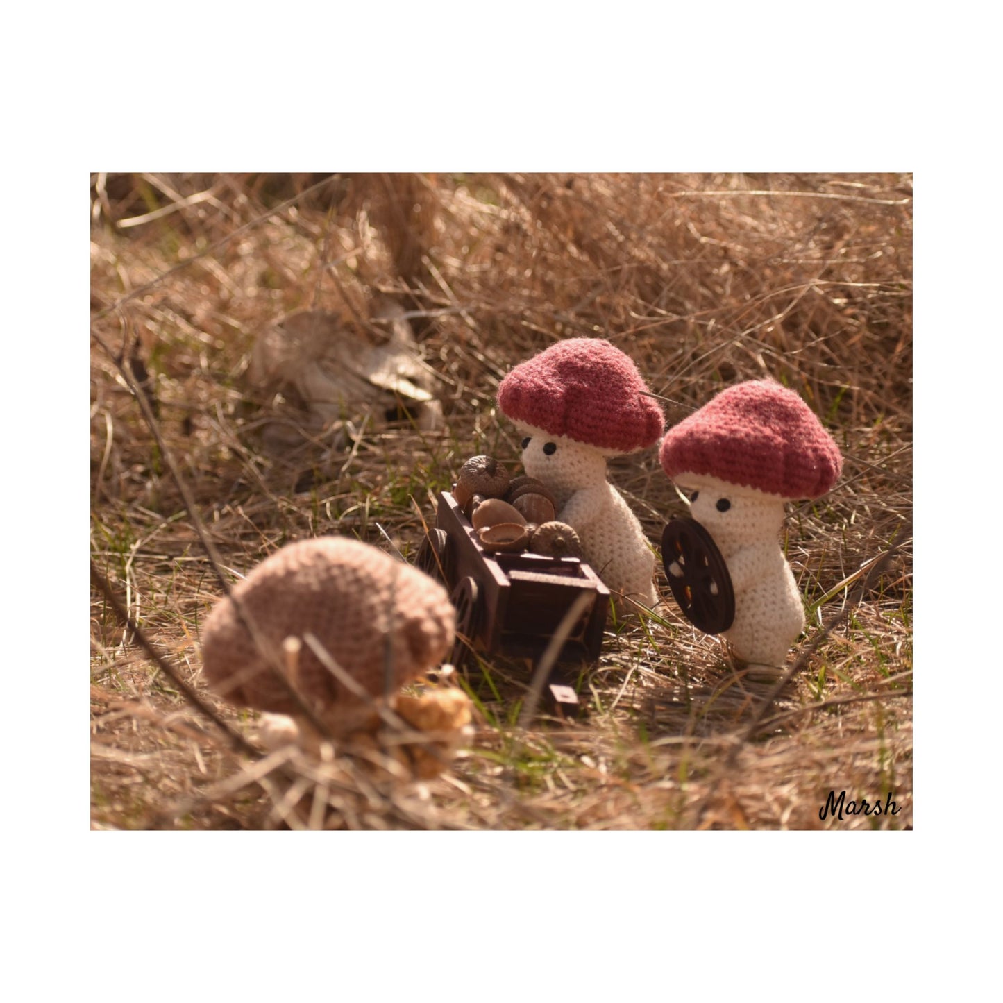 Badlands Woolyshroom Satin Poster - Charming Nature Art for Cozy Home Decor