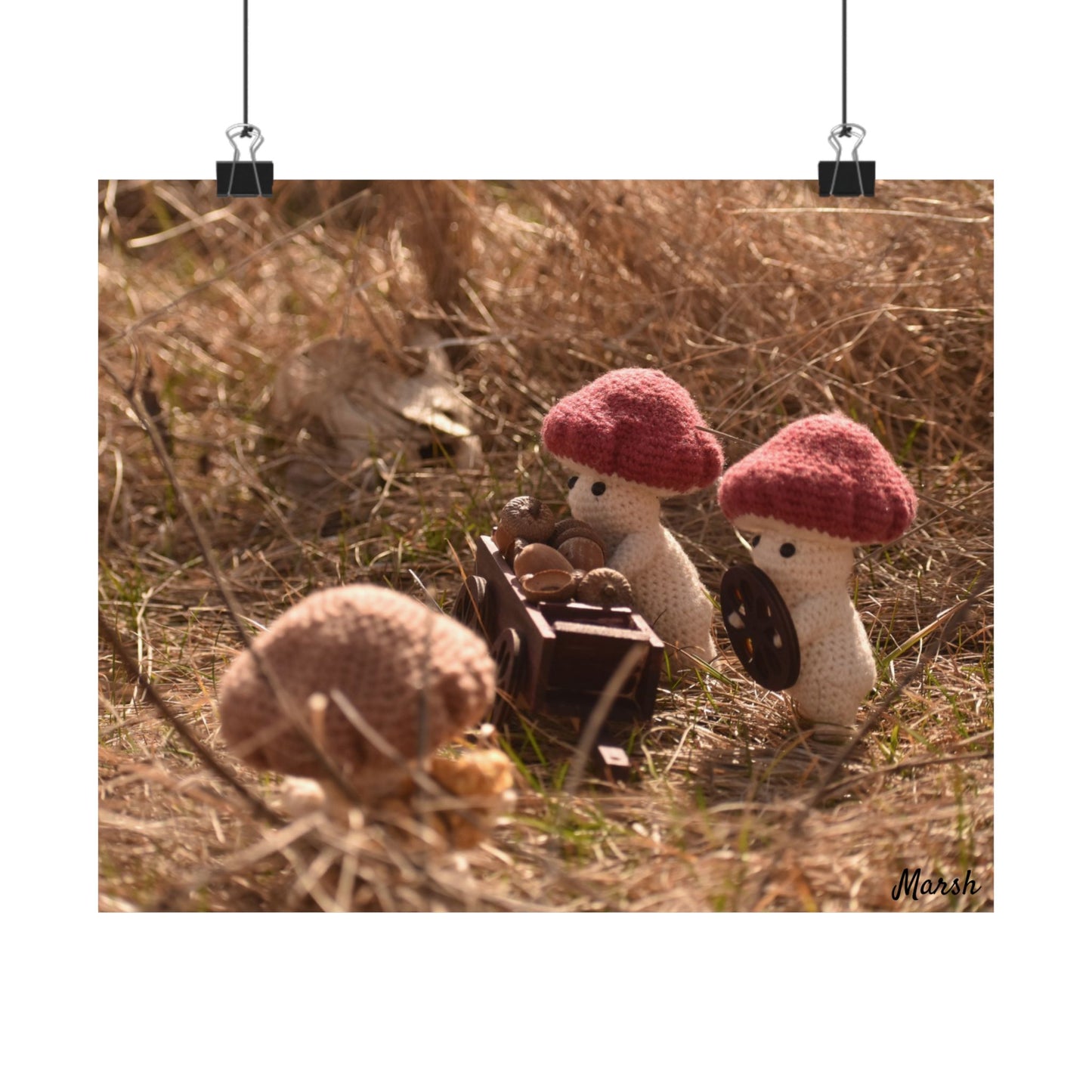 Badlands Woolyshroom Satin Poster - Charming Nature Art for Cozy Home Decor