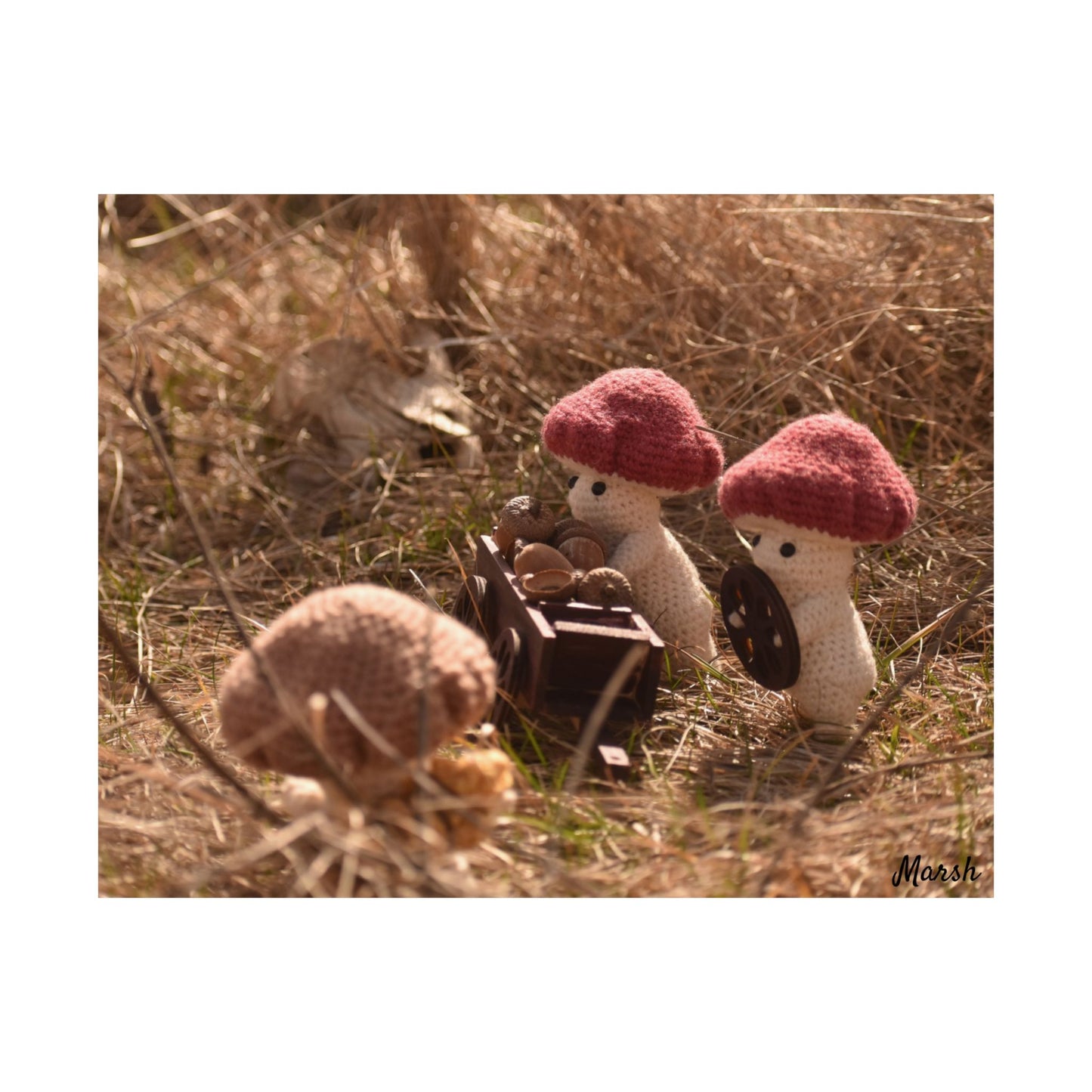 Badlands Woolyshroom Satin Poster - Charming Nature Art for Cozy Home Decor