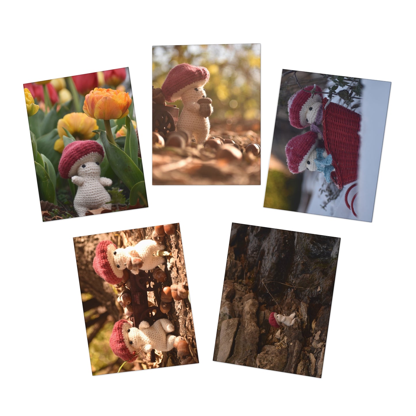 Woolyshroom Greeting Card Set - 5-Pack Mushroom Designs for All Occasions