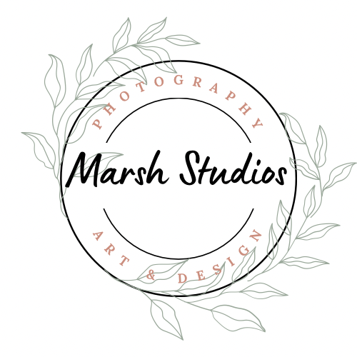 Marsh Studios 